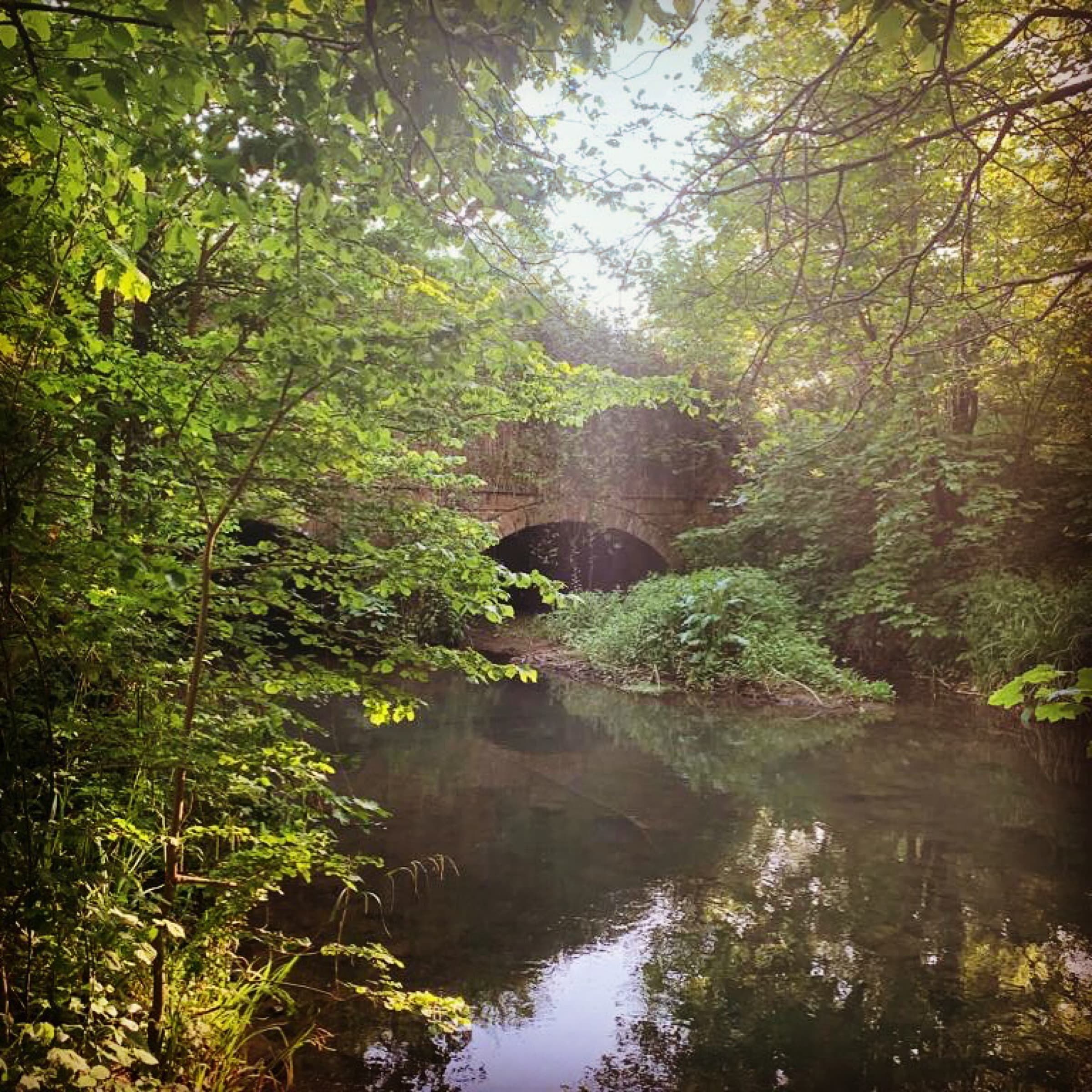 River Mells at Somerleaze House