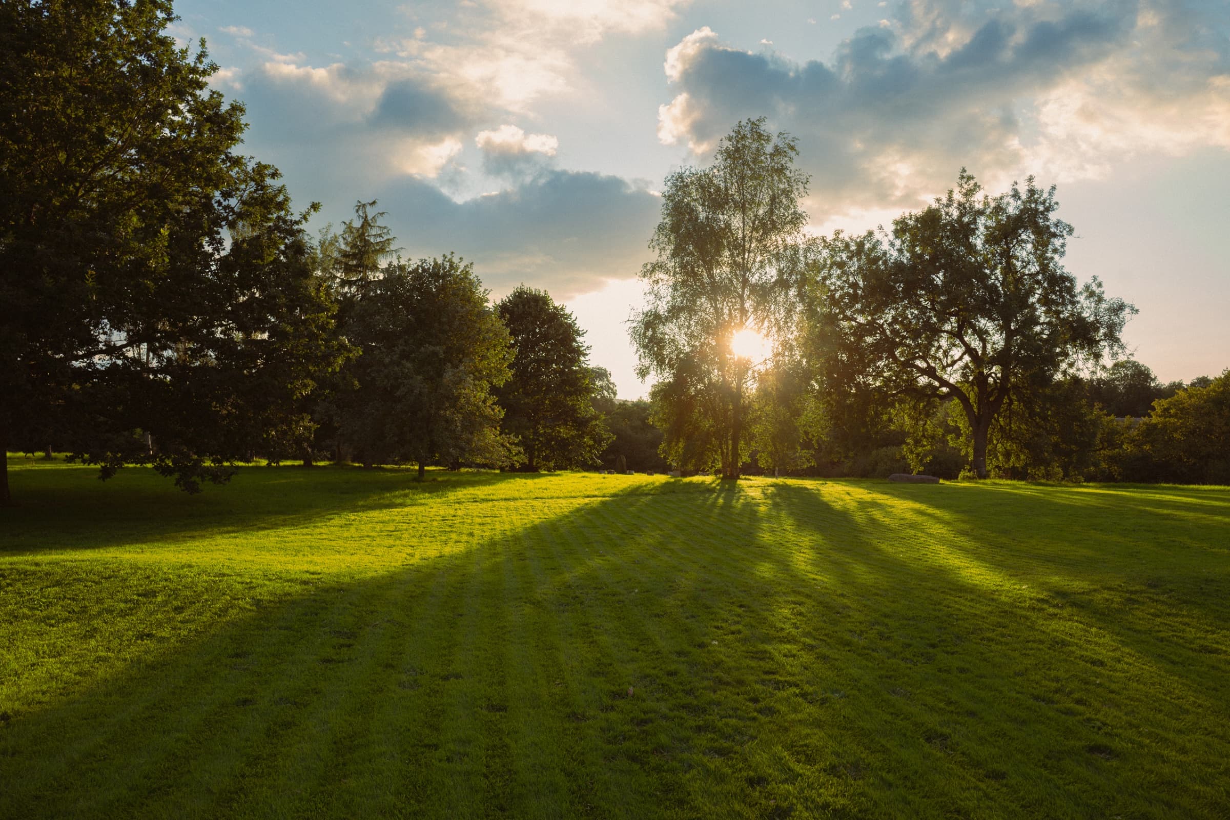 Twelve acres of Somerset countryside, Somerleaze