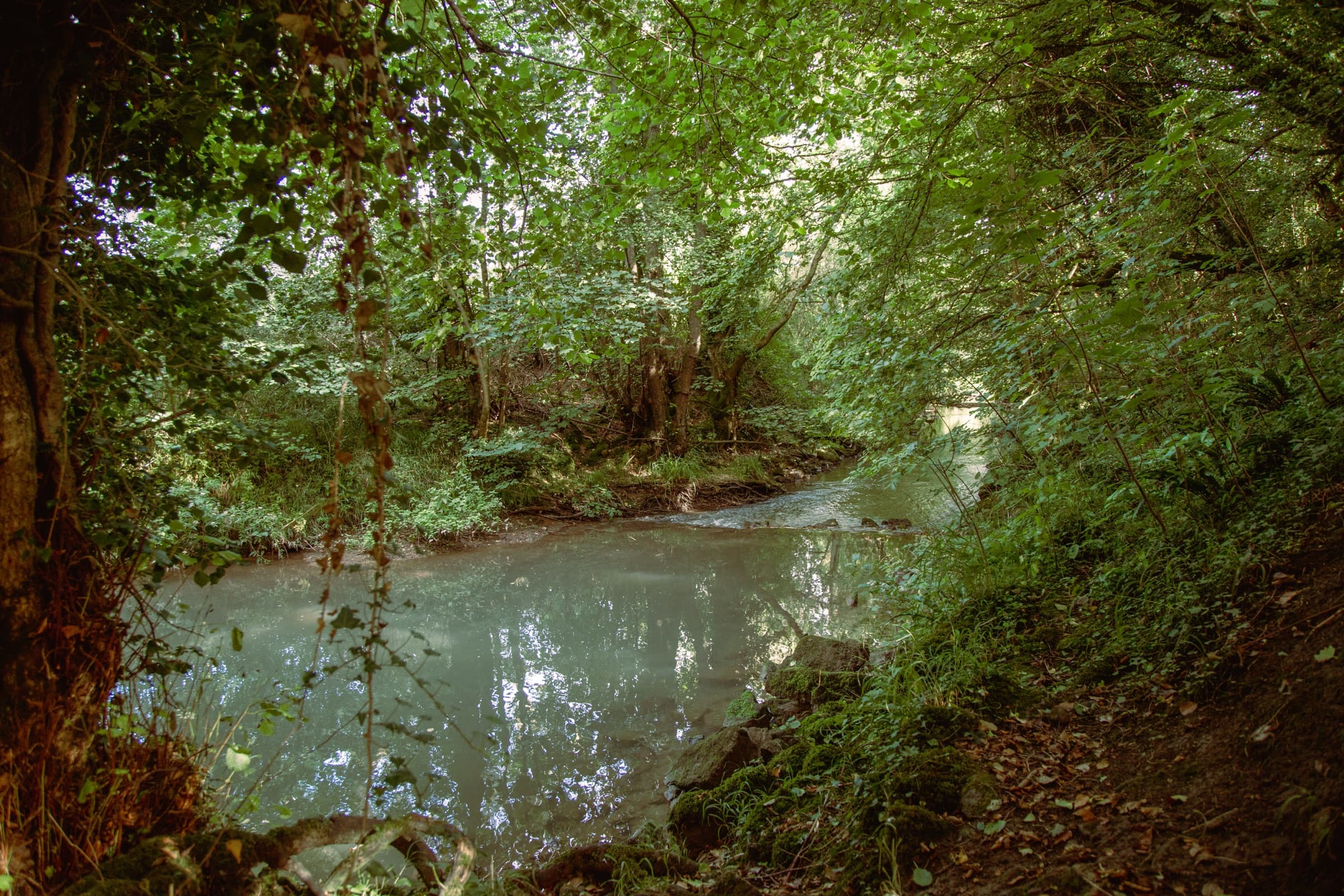 River Mells running through Somerleaze grounds